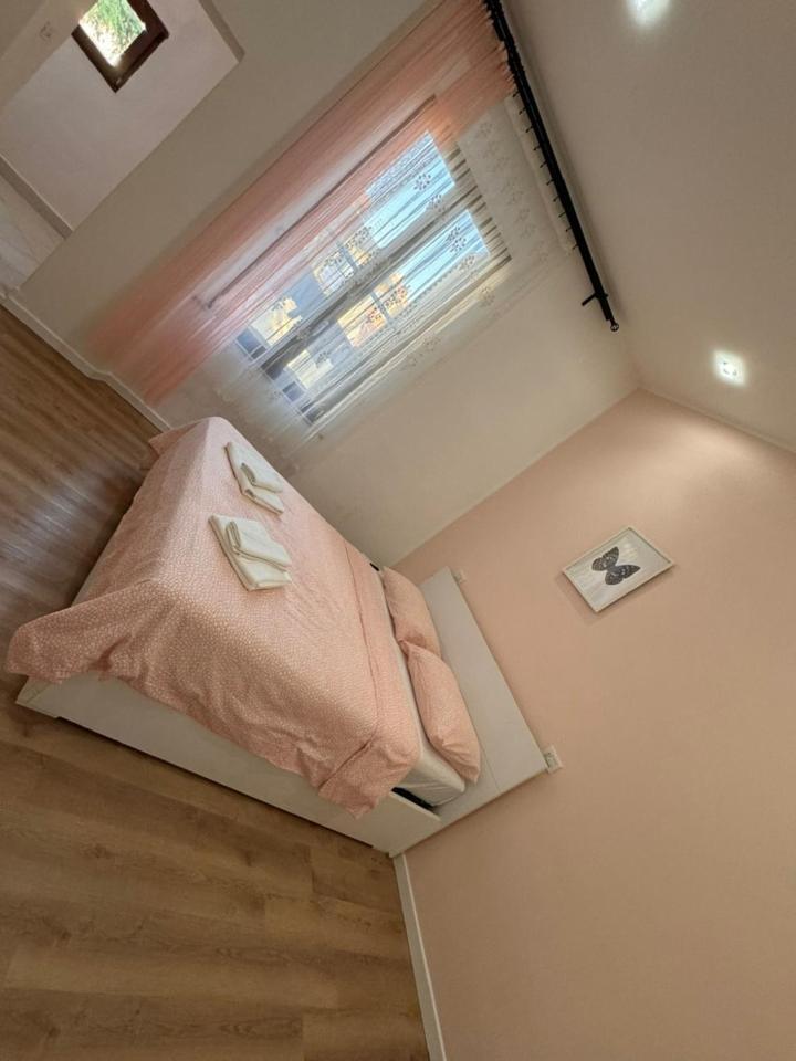 Galileo Pisa B&B 외부 사진